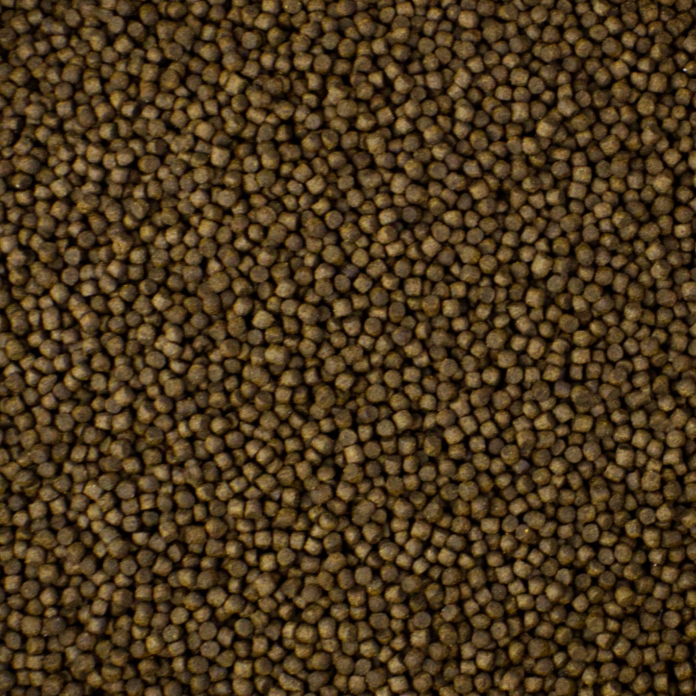 Koifutter Futterpellets