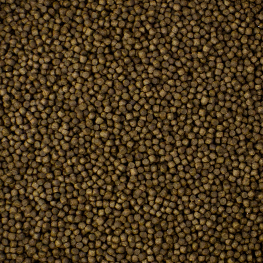 Koifutter Futterpellets