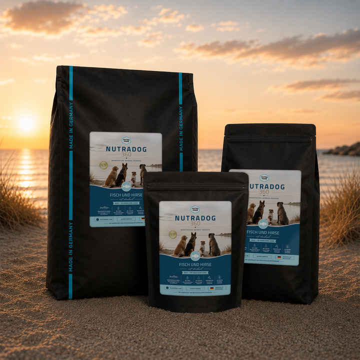 Nutradog360 Fisch und Hirse